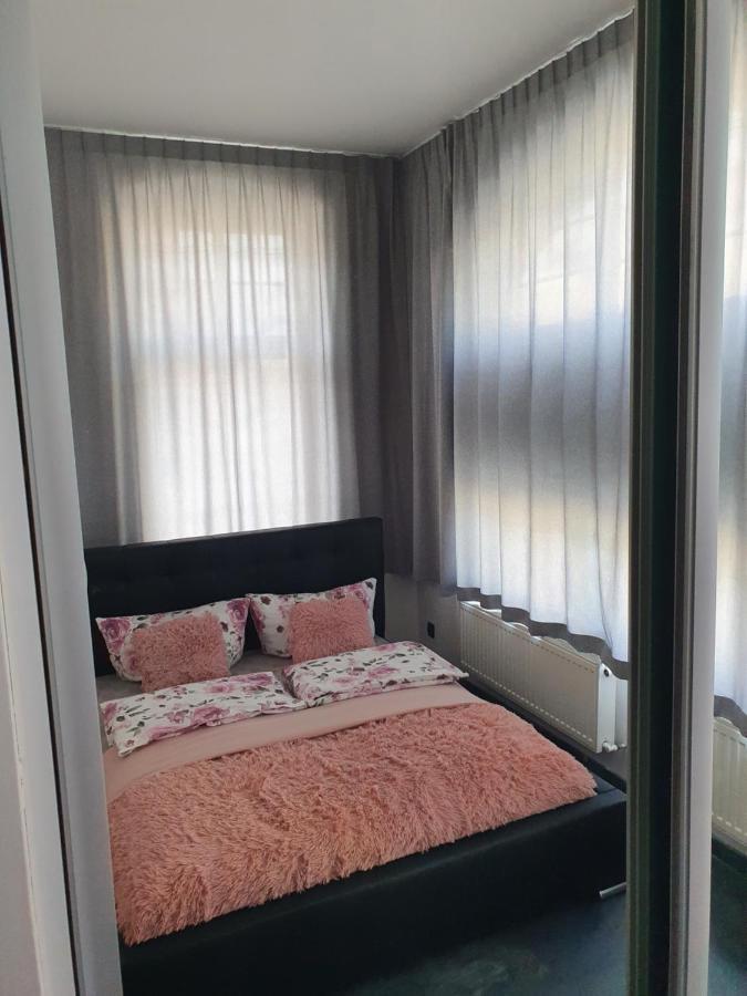 Apartament Sto Metrow Od Morza 슈비노우이스쳬 외부 사진